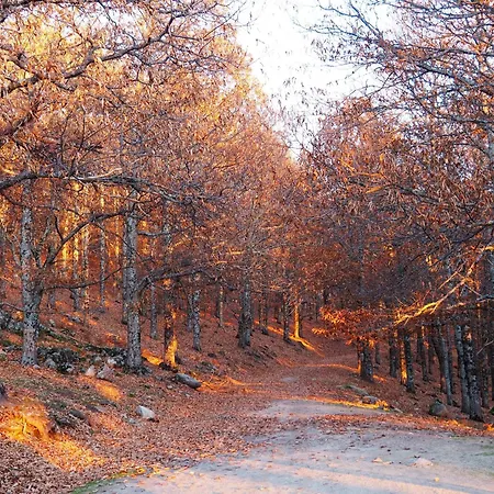 Cuatro Calles Bis Piedralaves